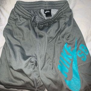 Nike SB shorts